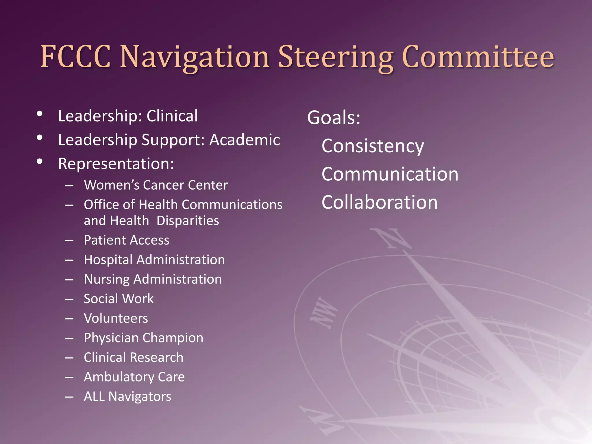 Steering Committee for the Academy of Oncology Nurse Navigators