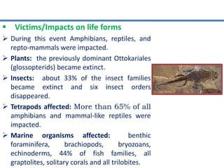  Victims/Impacts on life forms
 During this event Amphibians, reptiles, and
repto-mammals were impacted.
 Plants: the previously dominant Ottokariales
(glossopterids) became extinct.
 Insects: about 33% of the insect families
became extinct and six insect orders
disappeared.
 Tetrapods affected: More than 65% of all
amphibians and mammal-like reptiles were
impacted.
 Marine organisms affected: benthic
foraminifera, brachiopods, bryozoans,
echinoderms, 44% of fish families, all
graptolites, solitary corals and all trilobites.
 