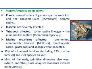  Victims/Impacts on life forms
 Plants: several orders of gymno- sperms were lost
and the Umkoma-siales (Dicroidium) became
extinct.
 Insects: not severely affected.
 Tetrapods affected: some reptile lineages – the
mammal-like reptiles (therapsids) especially.
 Marine organisms affected: ammonites,
ammonoids, bivalves (Molluscs), brachiopods,
corals, gastropods and sponges were impacted.
35% of all animal families (including 22% marine
families) and 76% species die out.
Most of the early, primitive dinosaurs also went
extinct, but other, more adaptive dinosaurs evolved
in the Jurassic.
 