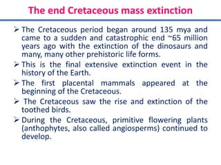 The end Cretaceous mass extinction
 The Cretaceous period began around 135 mya and
came to a sudden and catastrophic end ~65 million
years ago with the extinction of the dinosaurs and
many, many other prehistoric life forms.
 This is the final extensive extinction event in the
history of the Earth.
 The first placental mammals appeared at the
beginning of the Cretaceous.
 The Cretaceous saw the rise and extinction of the
toothed birds.
 During the Cretaceous, primitive flowering plants
(anthophytes, also called angiosperms) continued to
develop.
 