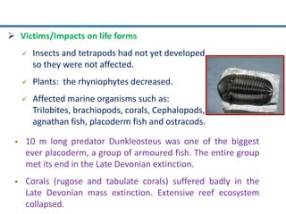  Victims/Impacts on life forms
 Insects and tetrapods had not yet developed
so they were not affected.
 Plants: the rhyniophytes decreased.
 Affected marine organisms such as:
Trilobites, brachiopods, corals, Cephalopods,
agnathan fish, placoderm fish and ostracods.
 10 m long predator Dunkleosteus was one of the biggest
ever placoderm, a group of armoured fish. The entire group
met its end in the Late Devonian extinction.
 Corals (rugose and tabulate corals) suffered badly in the
Late Devonian mass extinction. Extensive reef ecosystem
collapsed.
 