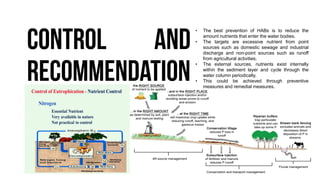 Preventions of HABs
• Floating Treatment Wetlands
(FTW)
• Riparian Vegetation
• Aeration
• Circulation
• Hypolimnetic Oxyg...