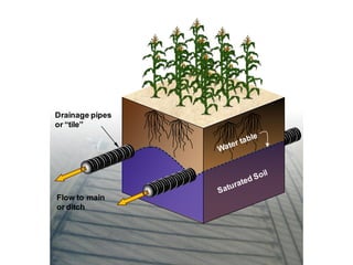 Drainage pipes
or “tile”
Flow to main
or ditch
 