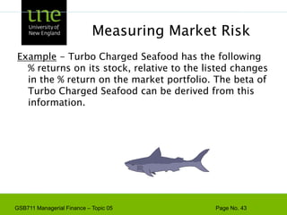 Risk and Diversification