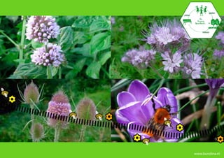 spelen
zitten




             natuur




         www.burolina.nl
 