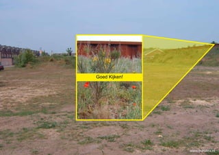 Goed Kijken!




               www.burolina.nl
 