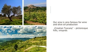 Our area is very famous for wine
and olive oil production
„Croatian Tuscany” – pictoresque
hills, vinyards
 