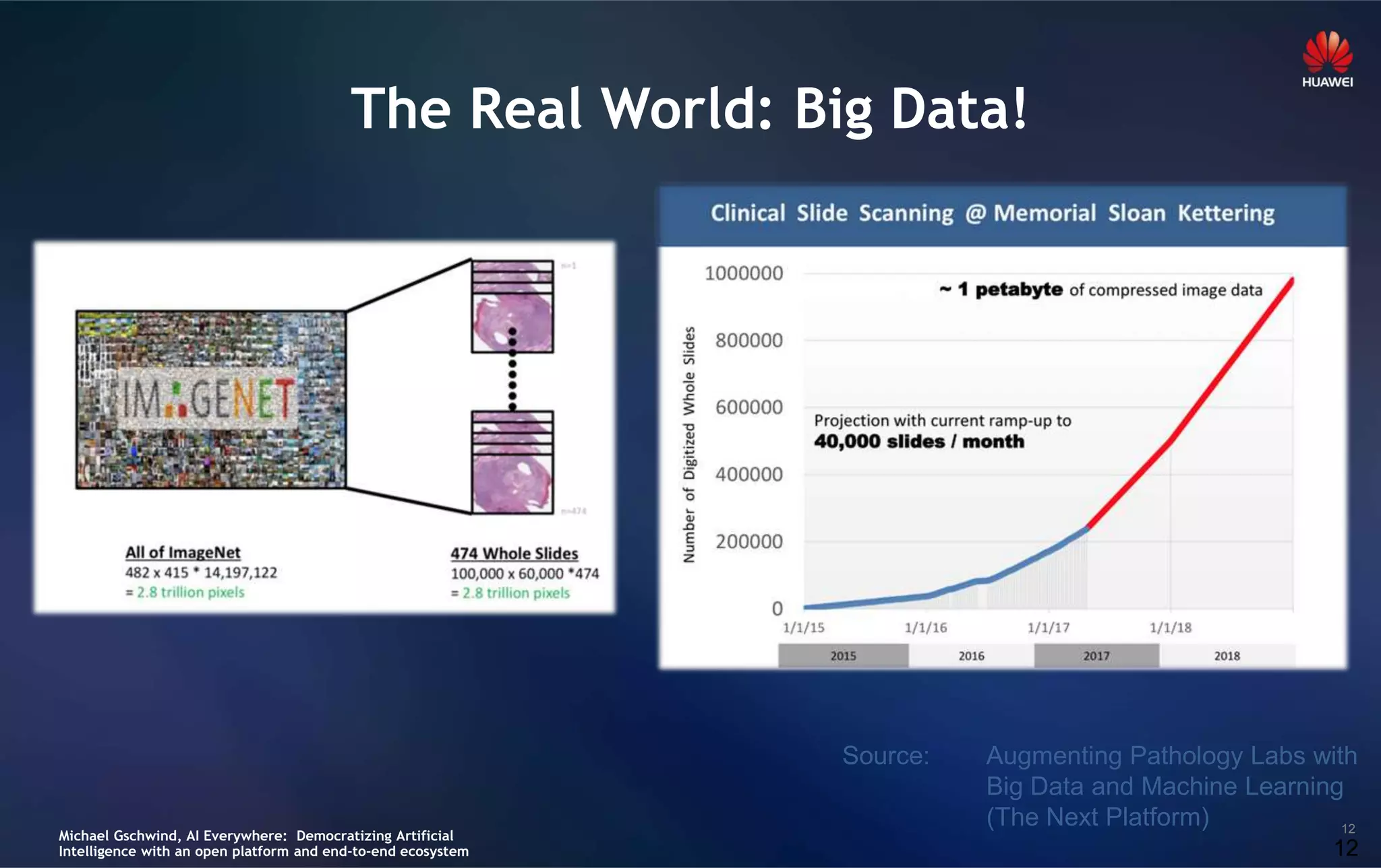 12
The Real World: Big Data!
12
Source: Augmenting Pathology Labs with
Big Data and Machine Learning
(The Next Platform)
Michael Gschwind, AI Everywhere: Democratizing Artificial
Intelligence with an open platform and end-to-end ecosystem
 
