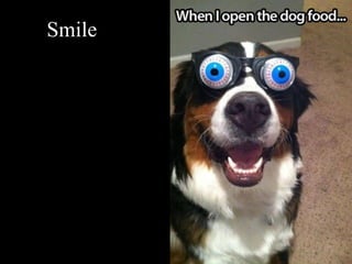 Smile
 
