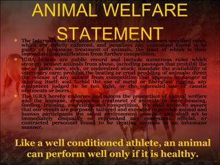 ANIMAL WELFARE STATEMENT The International Gay Rodeo Association (IGRA) imposes specified rules, which are strictly enforced, and penalizes any contestant found to be guilty of inhumane treatment of animals, the least of which is their immediate disqualification from further competition.  IGRA bylaws are public record and include numerous rules which strongly protect animals from abuse, including passages that prohibit the use of lame, sore, sick, or undersized stock; mandate the availability of veterinary care; prohibit the beating or cruel prodding of animals; direct the release of any animal from competition that appears in danger of injuring itself; and forbid the use of metal or fiberglass rigging, any equipment judged to be too tight, or the concealed use of caustic ointments or burrs. The IGRA hereby endorses and adopts the promotion of animal welfare and the humane, responsible treatment of animals in their housing, feeding, training, exercising and competition. We shall strive to assure that our events are purposely tailored and executed to provide animal and human participants the safest environment possible and shall act to immediately disqualify or reprimand any contestant, official, or contracted personnel found to be treating animals in an inhumane manner. Like a well conditioned athlete, an animal can perform well only if it is healthy. 