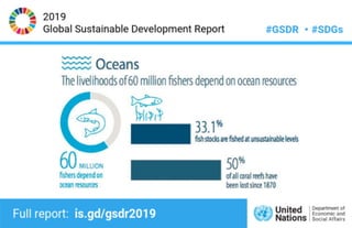 Global Sustainable Development Report (GSDR) | PDF