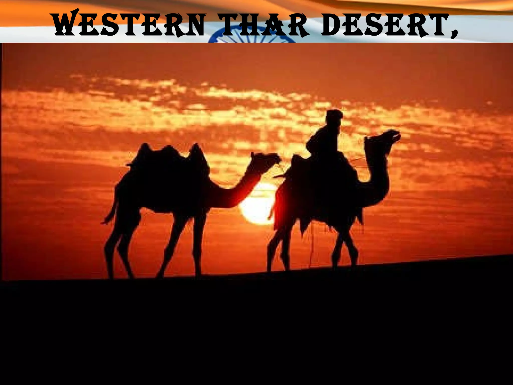 Western Thar Desert, Rajasthan 