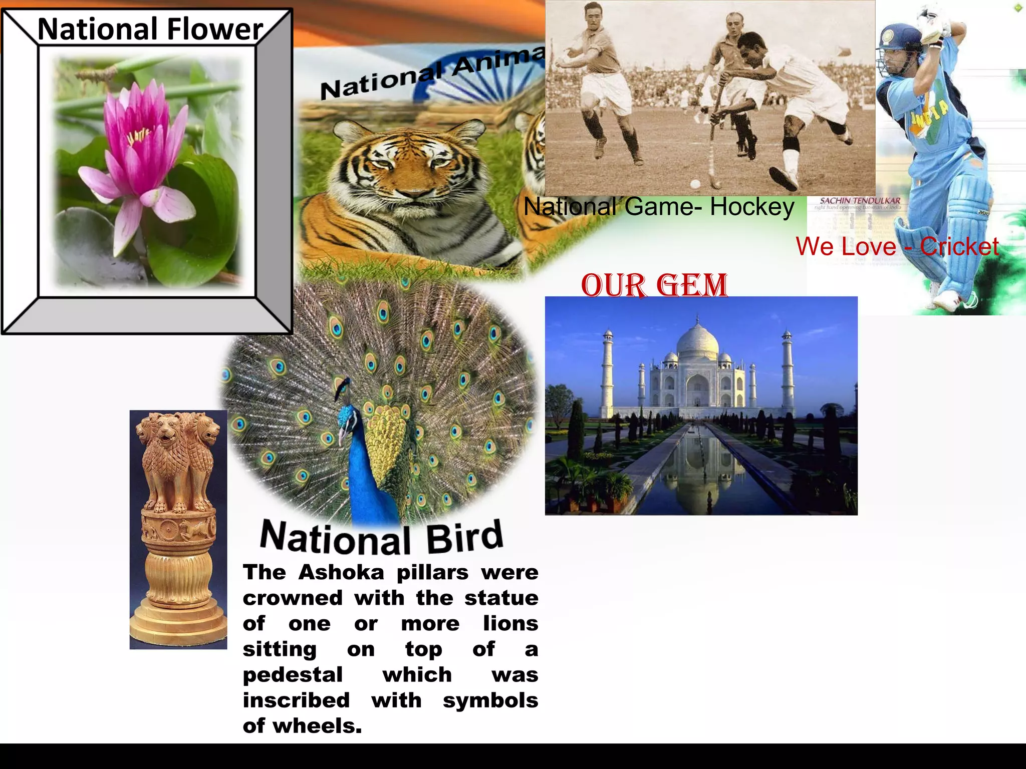 Our GEM National Game- Hockey We Love - Cricket The Ashoka pillars were crowned with the statue of one or more lions sitting on top of a pedestal which was inscribed with symbols of wheels. National Flower 