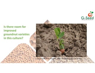 Culture, choice and action in legume seeds systems in East and North Uganda