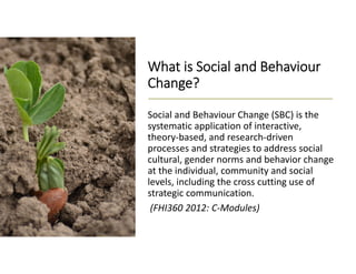 Culture, choice and action in legume seeds systems in East and North Uganda