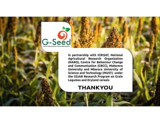 Culture, choice and action in legume seeds systems in East and North Uganda