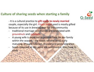 Culture, choice and action in legume seeds systems in East and North Uganda