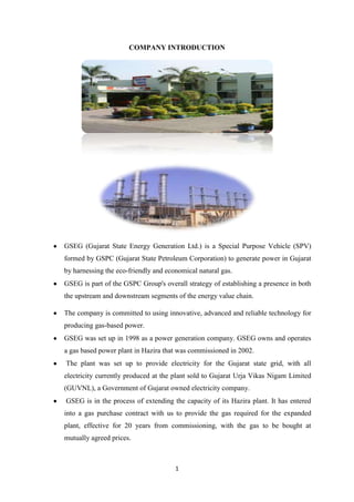 COMPANY INTRODUCTION




GSEG (Gujarat State Energy Generation Ltd.) is a Special Purpose Vehicle (SPV)
formed by GSPC (Gujarat State Petroleum Corporation) to generate power in Gujarat
by harnessing the eco-friendly and economical natural gas.
GSEG is part of the GSPC Group's overall strategy of establishing a presence in both
the upstream and downstream segments of the energy value chain.

The company is committed to using innovative, advanced and reliable technology for
producing gas-based power.
GSEG was set up in 1998 as a power generation company. GSEG owns and operates
a gas based power plant in Hazira that was commissioned in 2002.
The plant was set up to provide electricity for the Gujarat state grid, with all
electricity currently produced at the plant sold to Gujarat Urja Vikas Nigam Limited
(GUVNL), a Government of Gujarat owned electricity company.
GSEG is in the process of extending the capacity of its Hazira plant. It has entered
into a gas purchase contract with us to provide the gas required for the expanded
plant, effective for 20 years from commissioning, with the gas to be bought at
mutually agreed prices.



                                      1
 