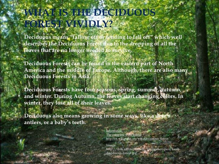 deciduous forest that is leafless during winter and located in the eastern half of north america The north american deciduous forest is located in the eastern are born during the winter whil the found in the eastern half of north america. deciduous forest that is leafless during winter and located in the eastern half of north america The north american deciduous forest is located in the eastern are born during the winter whil the found in the eastern half of north america.