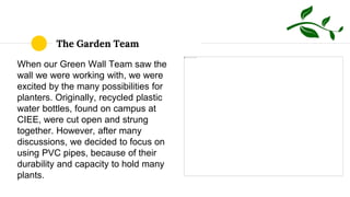 The Garden Team
When our Green Wall Team saw the
wall we were working with, we were
excited by the many possibilities for
planters. Originally, recycled plastic
water bottles, found on campus at
CIEE, were cut open and strung
together. However, after many
discussions, we decided to focus on
using PVC pipes, because of their
durability and capacity to hold many
plants.
 