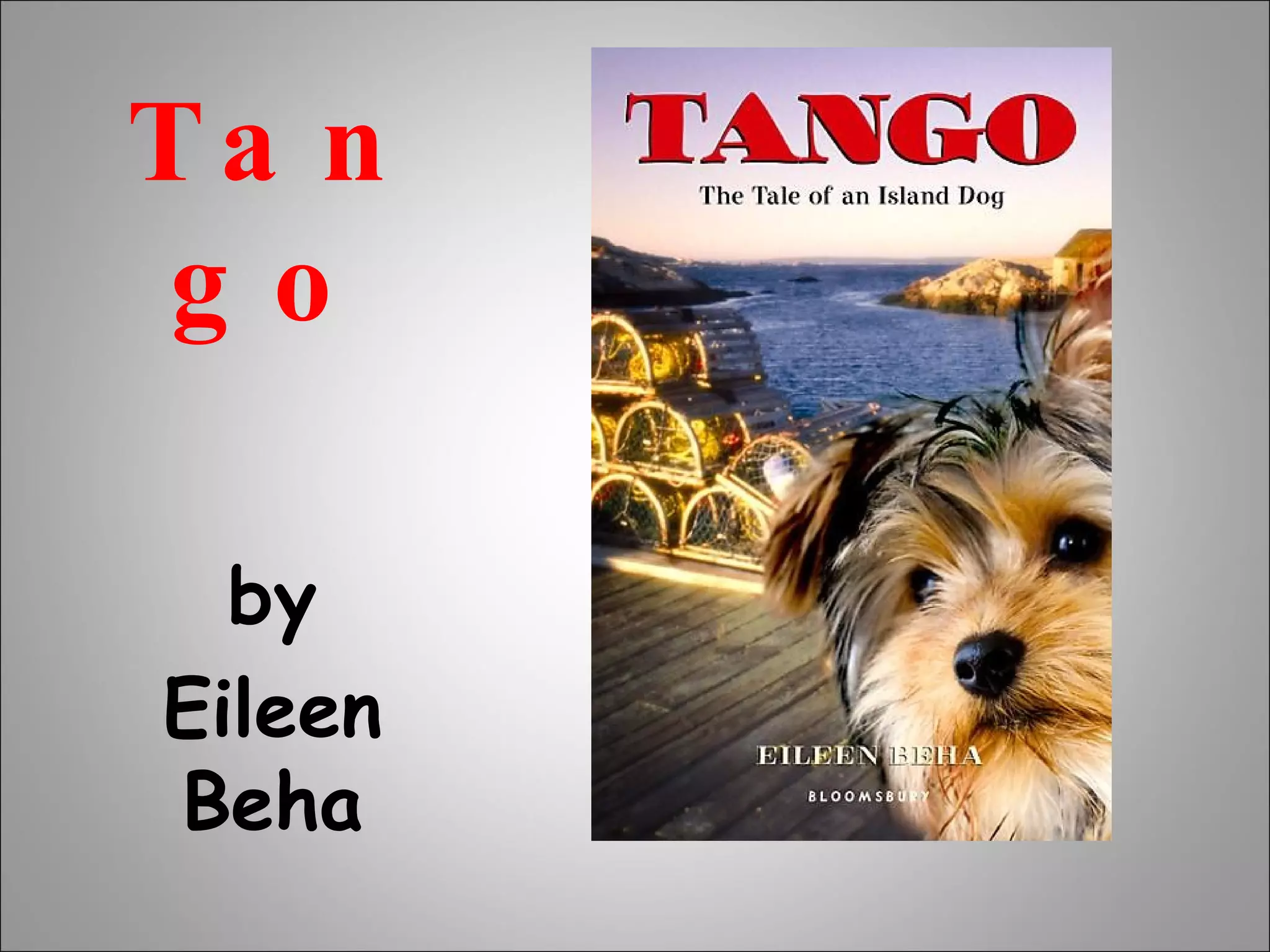 Tango by Eileen Beha 