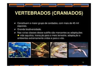 VERTEBRADOS (CRANIADOS)
Constituem o maior grupo de cordados, com mais de 45 mil
espécies.
Grande biodiversidade.
Nas várias classes desse subfilo são marcantes as adaptações
 vida aquática, transição para o meio terrestre, adaptação a
 vida aquática, transição para o meio terrestre, adaptação a
ambientes extremamente áridos e para o vôo.
13
 