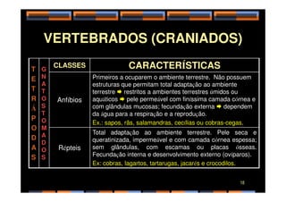 VERTEBRADOS (CRANIADOS)
T
E
T
R
G
N
A
T
O
CLASSES CARACTERÍSTICAS
Anfíbios
Primeiros a ocuparem o ambiente terrestre. Não possuem
estruturas que permitam total adaptação ao ambiente
terrestre  restritos a ambientes terrestres úmidos ou
aquáticos  pele permeável com finíssima camada córnea e
R
Á
P
O
D
A
S
O
S
T
O
M
A
D
O
S
Anfíbios aquáticos  pele permeável com finíssima camada córnea e
com glândulas mucosas; fecundação externa  dependem
da água para a respiração e a reprodução.
Ex.: sapos, rãs, salamandras, cecílias ou cobras-cegas.
Répteis
Total adaptação ao ambiente terrestre. Pele seca e
queratinizada, impermeável e com camada córnea espessa;
sem glândulas, com escamas ou placas ósseas.
Fecundação interna e desenvolvimento externo (ovíparos).
Ex: cobras, lagartos, tartarugas, jacarés e crocodilos.
18
 