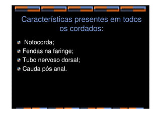 Características presentes em todos
os cordados:
Notocorda;
Fendas na faringe;
Tubo nervoso dorsal;
Tubo nervoso dorsal;
Cauda pós anal.
 