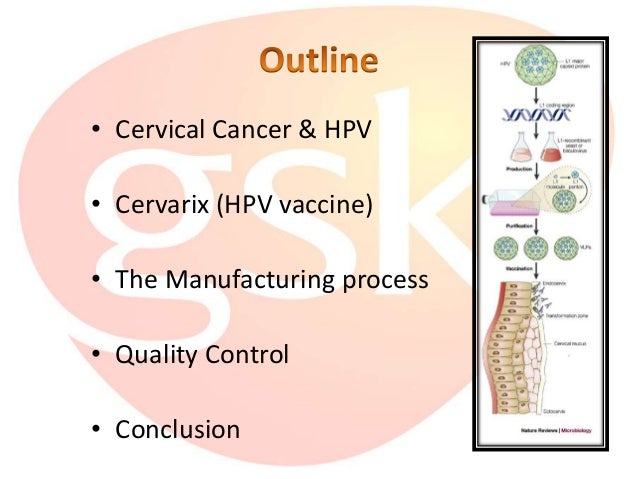 outline of cervical cancer paper Outline on colon cancer the second most commonly diagnosed cancer in america is colon cancer and in five pages this paper presents an overview in terms of. outline of cervical cancer paper Outline on colon cancer the second most commonly diagnosed cancer in america is colon cancer and in five pages this paper presents an overview in terms of.