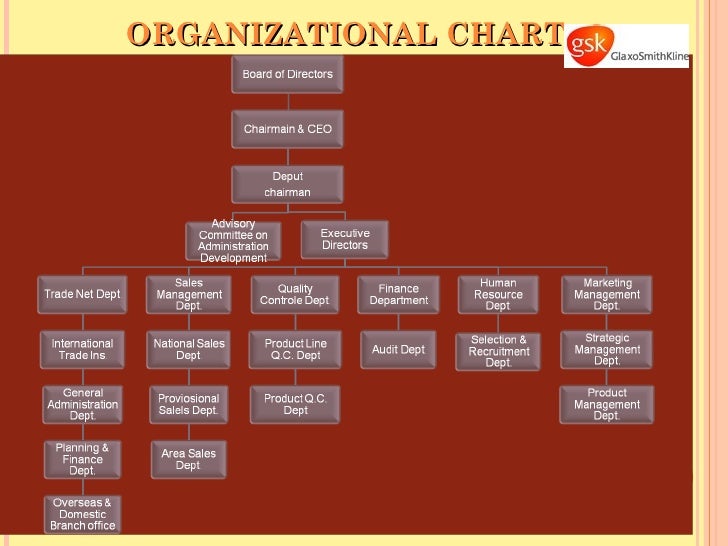 glaxosmithkline organisational structure The structure of an organization can take many forms that eventually are influenced by factors like purpose, size, tasks intricacies, external environment and its culture products, services or locality also determines organizational structures. glaxosmithkline organisational structure The structure of an organization can take many forms that eventually are influenced by factors like purpose, size, tasks intricacies, external environment and its culture products, services or locality also determines organizational structures.