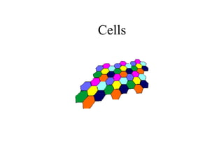 Cells 