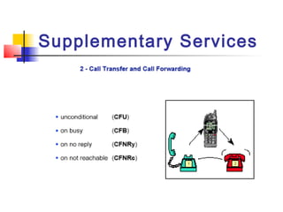 Supplementary Services
 