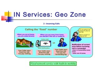 IN Services: Geo Zone
 