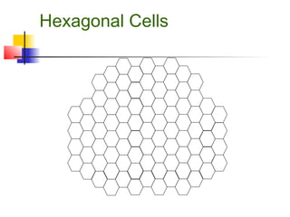 Hexagonal Cells
 