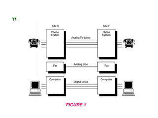 T1




     FIGURE 1
 