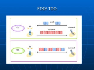 FDD/ TDD 