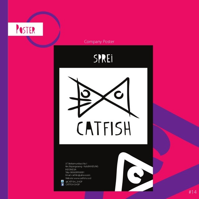 Graphics Standard Manual - Catfish