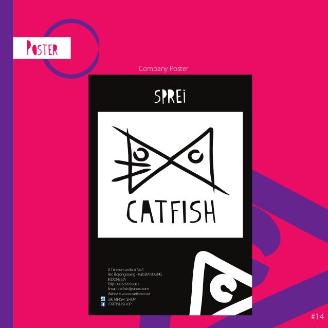 Graphics Standard Manual - Catfish Graphics Standard Manual - Catfish