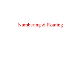 Numbering & Routing
 