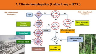 Tropical wet
Elevation
> 800m
TMA
> 12°C
Warm temperate
moist
MAP
> 1000
Yes
No
Yes
Yes
Warm temperate
dry
No
MAT > 1,5
No
Cool temperate
moist
PMA:
PET
> 1
Yes
Yes
Cool
temperate dry
Tropical
Montano
Start
MAT >
18°C
Yes
No
No
MAP >
4000 mm
Yes
Tropical moist
MAP >
2000 –
4000 mm
Tropical dry
Nival
No
Yes
No
2. Climate homologation (Caldas Lang – IPCC)
MAT = Mean Annual
Temperature
MAP = Mean Annual
Precipitation
 