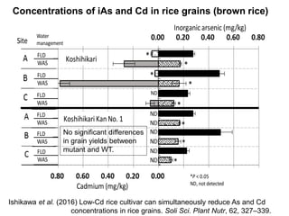 Strategies for reducing cadmium and arsenic in rice | PDF