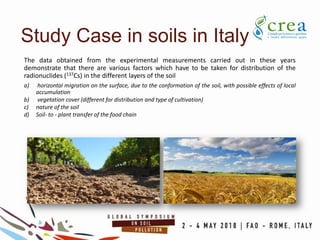 The data obtained from the experimental measurements carried out in these years
demonstrate that there are various factors which have to be taken for distribution of the
radionuclides (137Cs) in the different layers of the soil
a) horizontal migration on the surface, due to the conformation of the soil, with possible effects of local
accumulation
b) vegetation cover (different for distribution and type of cultivation)
c) nature of the soil
d) Soil- to - plant transfer of the food chain
Study Case in soils in Italy
 