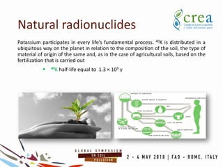 Natural radionuclides
Potassium participates in every life’s fundamental process. 40K is distributed in a
ubiquitous way on the planet in relation to the composition of the soil, the type of
material of origin of the same and, as in the case of agricultural soils, based on the
fertilization that is carried out
 40K half-life equal to 1.3 × 109 y
 