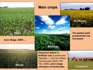 Maize
Wheat
Sunflower
Soybean
Livestock
The global yield
productivity has
increased
Main crops
Zero tillage, GMO….
Historical deficit in
fertilizer use (Lavado and
Taboada. J. Soil and Water
Conservation 64(5):150-
153. 2009), and a large
utilization of herbicides.
 