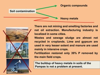 The buildup of heavy metals in soils of the
Pampas is not a problem at present.
There are not mining and smelting factories and
not oil extraction. Manufacturing industry is
localized in some cities.
Wastes and sewage sludge are almost not
recycled in croplands. Lime and gypsum are
used in very lesser extent and manure are used
mainly in intensive crops.
Fertilization restored only 39% P removed by
the main field crops.
Soil contamination
Organic compounds
Heavy metals
 