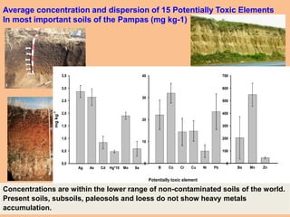 Average concentration and dispersion of 15 Potentially Toxic Elements
In most important soils of the Pampas (mg kg-1)
Concentrations are within the lower range of non-contaminated soils of the world.
Present soils, subsoils, paleosols and loess do not show heavy metals
accumulation.
Ag As Cd Hg*10 Mo Se
mgkg-1
0,0
0,5
1,0
1,5
2,0
2,5
3,0
3,5
B Co Cr Cu Ni Pb
0
10
20
30
40
Potentially toxic element
Ba Mn Zn
0
100
200
300
400
500
600
700
 