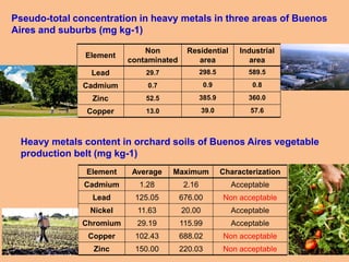 Pseudo-total concentration in heavy metals in three areas of Buenos
Aires and suburbs (mg kg-1)
Element
Non
contaminated
Residential
area
Industrial
area
Lead 29.7 298.5 589.5
Cadmium 0.7 0.9 0.8
Zinc 52.5 385.9 360.0
Copper 13.0 39.0 57.6
Element Average Maximum Characterization
Cadmium 1.28 2.16 Acceptable
Lead 125.05 676.00 Non acceptable
Nickel 11.63 20.00 Acceptable
Chromium 29.19 115.99 Acceptable
Copper 102.43 688.02 Non acceptable
Zinc 150.00 220.03 Non acceptable
Heavy metals content in orchard soils of Buenos Aires vegetable
production belt (mg kg-1)
 