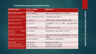 GLOBALSYMPOSIUMONSOILPOLLUTION
Potential HM hyperacummulators for MG.
Possible plant Heavy metals
removed
Reference
Zea mays (Corn) Fe, Zn and Mn Aliyu, H. G.; Adamu, H. M., 2014
H. annuus (sunflower) Cd,Cu,Mn,Ni,Sr and Zn Langella et al.,2014
Psoralea Pinnata Cr and Fe Ochonogor, R and Atagana, 2014.
Brassica juncea, Cu, Cr, Zn Dushenkov et al 1999; Szczygłowska,
2011.
Crotalaria juncea Cu, Cd and Ni Ahmad, et al, 2016.
Brassica Napus
Canola*
Cu and Zn Çakmakci, T and Ucar, Y, 2014
Vetiveria zizanoides Pb and Cd Schneider, 2016; Roongtanakiat , N. et al.
2008.
Pelargonium roseum Ni, Cd and Pb Mahdieh, M, et al 2013
Salix alba Cd, Ni, Pb Borišev et al, 2012.
Mucuna pruriens Cd and Cu Nwaichi, E. et al, 2009.
Canavalia ensiformis Pb, As and Zn da Silva, M et al 2018
 
