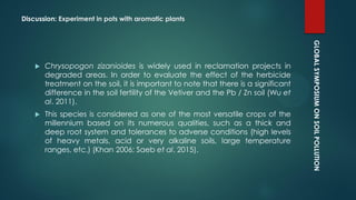 GLOBALSYMPOSIUMONSOILPOLLUTION
Discussion: Experiment in pots with aromatic plants
 Chrysopogon zizanioides is widely used in reclamation projects in
degraded areas. In order to evaluate the effect of the herbicide
treatment on the soil, it is important to note that there is a significant
difference in the soil fertility of the Vetiver and the Pb / Zn soil (Wu et
al. 2011).
 This species is considered as one of the most versatile crops of the
millennium based on its numerous qualities, such as a thick and
deep root system and tolerances to adverse conditions (high levels
of heavy metals, acid or very alkaline soils, large temperature
ranges, etc.) (Khan 2006; Saeb et al. 2015).
 