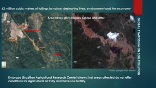 GLOBALSYMPOSIUMONSOILPOLLUTION
62 million cubic meters of tailings in nature, destroying lives, environment and the economy
Photo: google stock photos
FUNDÃO DAM
BENTO
Area hit by dam breaks before and after
Embrapa (Brazilian Agricultural Research Center) shows that areas affected do not offer
conditions for agricultural activity and have low fertility.
 